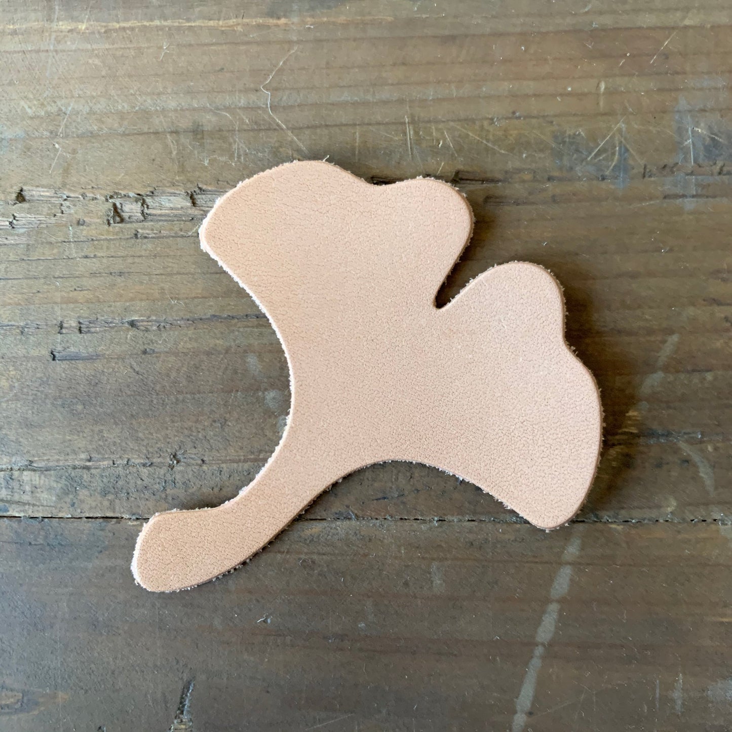 [BKxTSL Patch] Koyo (Autumn Foliage)